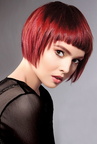 SOPHISTICATE'S HAIRSTYLE GUIDE is coming soon
