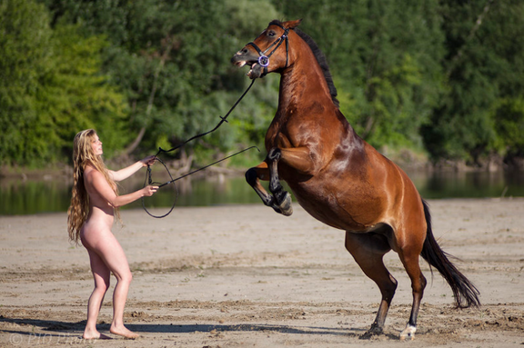 Screenshot 2020-11-02 You will obey