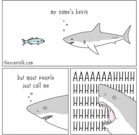 144035468 2773758029533174 8788157344452236440 n